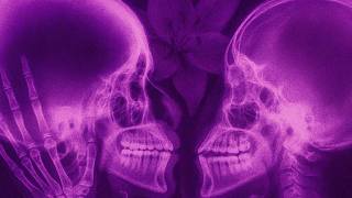 FLOR DE LIRIO - Dionn G (Lyric Video)