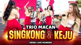 SINGKONG DAN KEJU - Trio Macan | Live Konser Putih Abu Abu