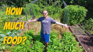How I Feed My Family From a 20x20 ft Garden (Small Garden, Huge Harvests)