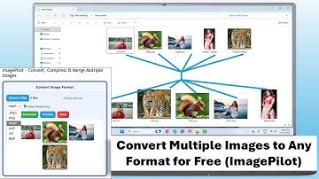 How to Convert Multiple Images to Any Format for Free ImagePilot