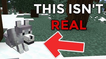 Can these YOUTUBERS Guess what