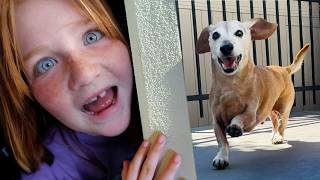 HiDE n SEEK at our OLD HOUSES!!  Koopa & Olive visit their favorite places from life, parks, trails