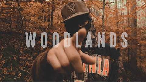 Woodlands - Montae