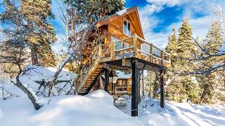 Their GIANT Tree House w/ gorgeous interior - bathroom & kitchen!