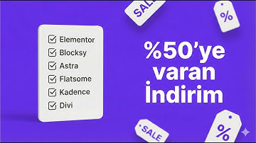 Hangi Temayı Almalı? 2025 İçin En Mantıklı WordPress ve Yazılım Yatırımları