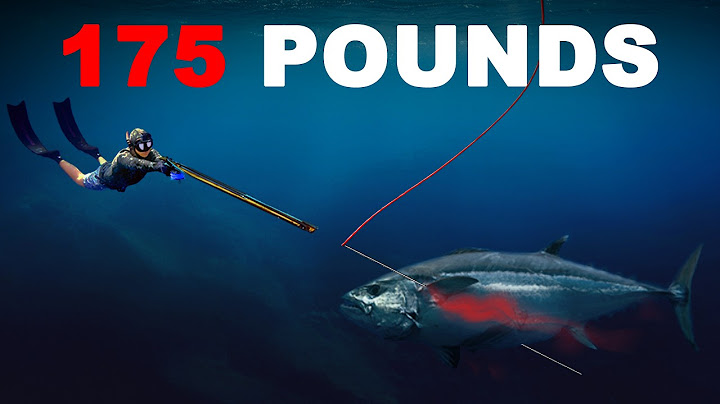 Hunting The Most Powerful Tuna On Earth...100 ft deep