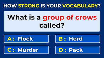 How Strong Is Your Vocabulary? Can You Score 30/30? Find The Correct Term. #challenge 56