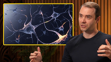 How LLMs are unlike the human brain – Andrej Karpathy