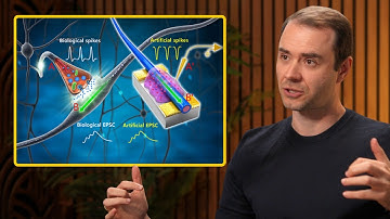 How LLMs are unlike the human brain – Andrej Karpathy