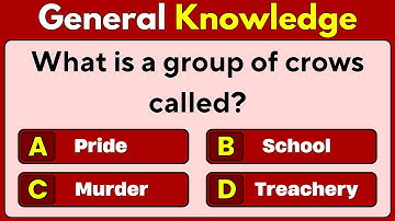 Can You Beat This Surprisingly Hard GK Test? | General Knowledge Quiz | Trivia Quiz | Facts