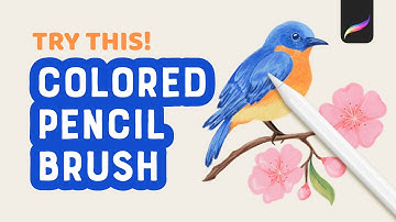 New Brush for Colored Pencil Drawing in Procreate