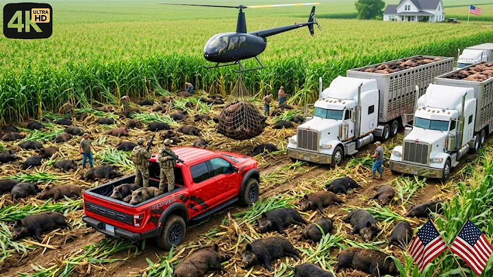 EASY Feral Hog Control Methods That Actually WORK