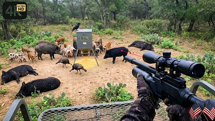 EASY Feral Hog Control Methods That Actually WORK in US