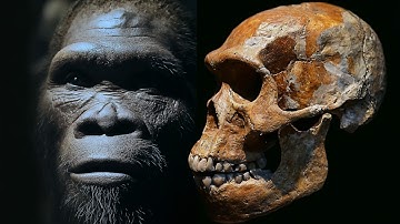 Archeologen verbazen met bizarre vondst die alles verandert