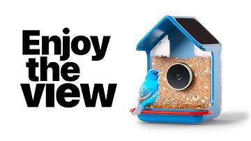 Be the first! Birdbuddy 2