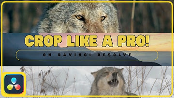 Crop Like a Pro in Minutes with This Simple DaVinci Resolve Tutorial