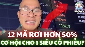 12 Cổ Phiếu Rơi Hơn 50%: Đáy Đã Hình Thành? Một Mã Duy Nhất Sắp Bùng Nổ 2026!