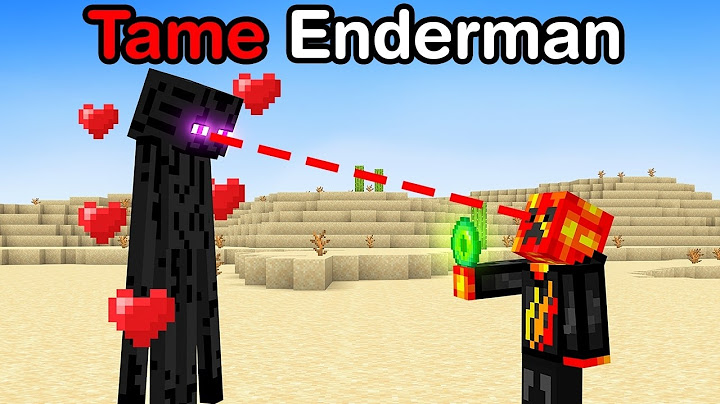 Breaking 100 Minecraft Laws in 24 Hours!