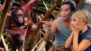 Kids Travel to Borneo Rainforest Looking for Wild Orangutans NOT Leeches! PART 2 Malaysia