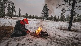 Wolf Encounter in the Oregon Woods | An Elk Hunting Adventure with my Son