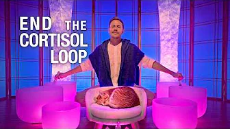 **CORTISOL DETOX**  End Your Cortisol Feedback Loop Now!