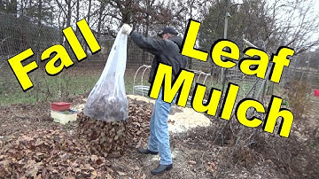 Adding More Mulch To The Garden