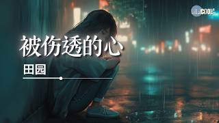 田园 - 被伤透的心「该怎么撑下去」【🎧AI高质音乐/拼音歌词 Eng Lyrics】