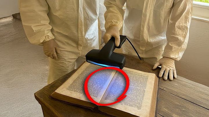 She Thought It Was A Normal Book, Until Experts Told Her the Truth