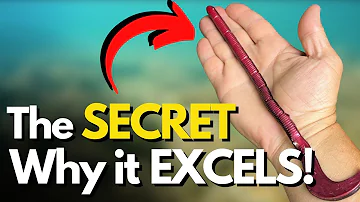 WHY Big Worms Excel For Summer Bass Underwater Look 