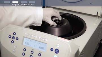 How to Isolate Cell-Free DNA from Plasma | cfDNA Purification