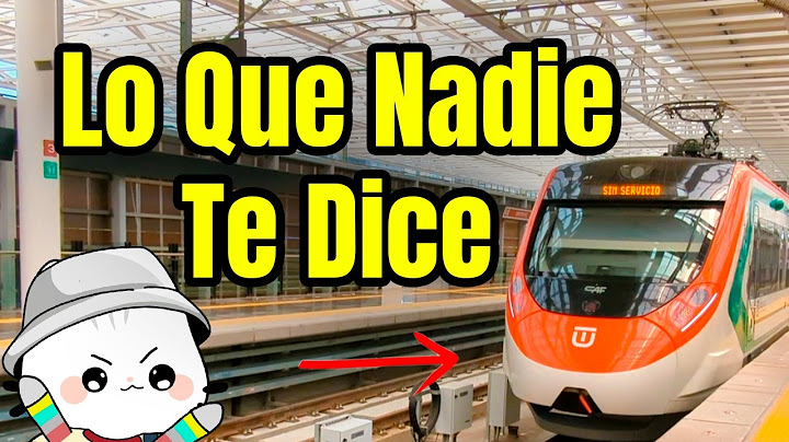 The Reality of the New Mexico-Toluca Intercity Train and Everything You Need to Know