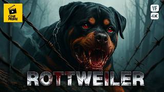 Rottweiler: The Dog of Death - Full Movie - Action, Horror-horror