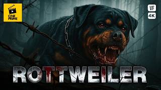 Rottweiler: The Dog of Death - Full Movie - Action, Horror-horror