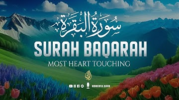 Surah Al-Baqarah Full (سورة البقرة) | Ultimate Most Beautiful Heart Touching Quran | WQ