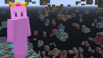 Can you beat an Actual X-Ray Minecraft World?