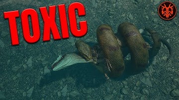 We MOETEN het hebben over het toxiciteitsprobleem van Path of Titans