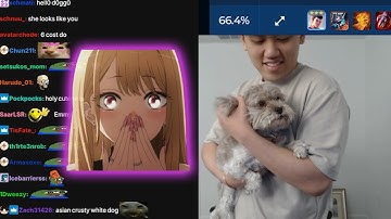 k3soju being a good dog owner