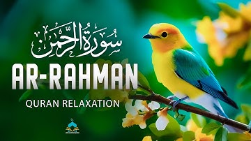 Surah Ar-Rahman سورة الرحمن | Lofi Quran for Night Calmness, Stress Relief & Serenity #lofiquran