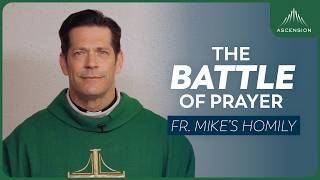 'Teach Us to Pray' | 17th Sunday in Ordinary Time (Fr. Mike's Homily) #sundayhomily