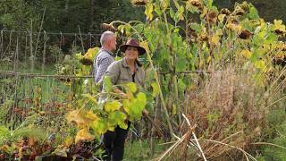 The life and daily activities of a family in a remote village on the edge of a forest
