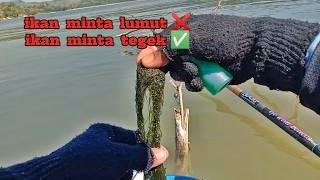 NO IMPORTANT WORDS REAL EVIDENCE ‼️ PACAL RESERVOIR BOJONEGORO