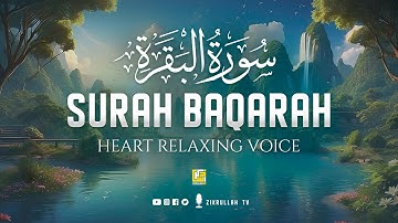 Surah AL BAQARAH Full (سورة البقره) ULTIMATE HEART TOUCHING VOICE | Zikrullah TV