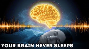 Why the Brain Listens Even When You Dream | Fall asleep to Science
