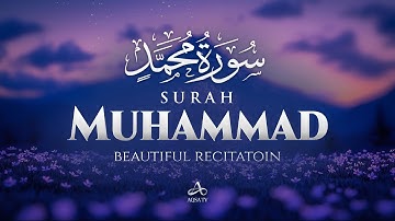 Surah Muhammad سورة محمد | Beautiful Tilawah That Brings Peace to the Heart | Stress Relief #quran