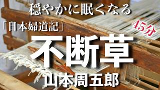 [Yamamoto Shugoro, Fudankusa] From 'Nihon Fujidoki' Kikue was divorced after only six months, but...