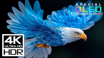 Incredible 4K Videos at 60 fps Dolby Vision HDR (8K, 4K Video TV + Relaxing Music Sleep)