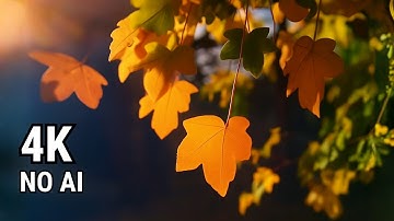 Real 4K Nature 🌿 Forest River Flow in Spain | Relaxing Music & Calm