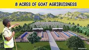 How we setup a modern Goat Breeding Farm on 8 Acres | 2025