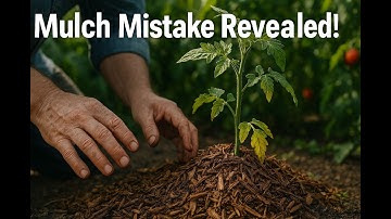 Is Your Mulch Secretly Killing Your Garden? [Watch Before You Spread]