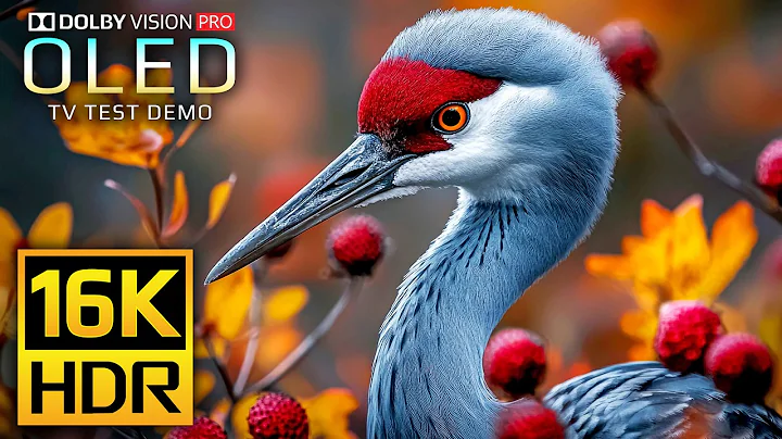 The Clarity 16K HDR 120 fps Video - Dolby Vision (8K Video)